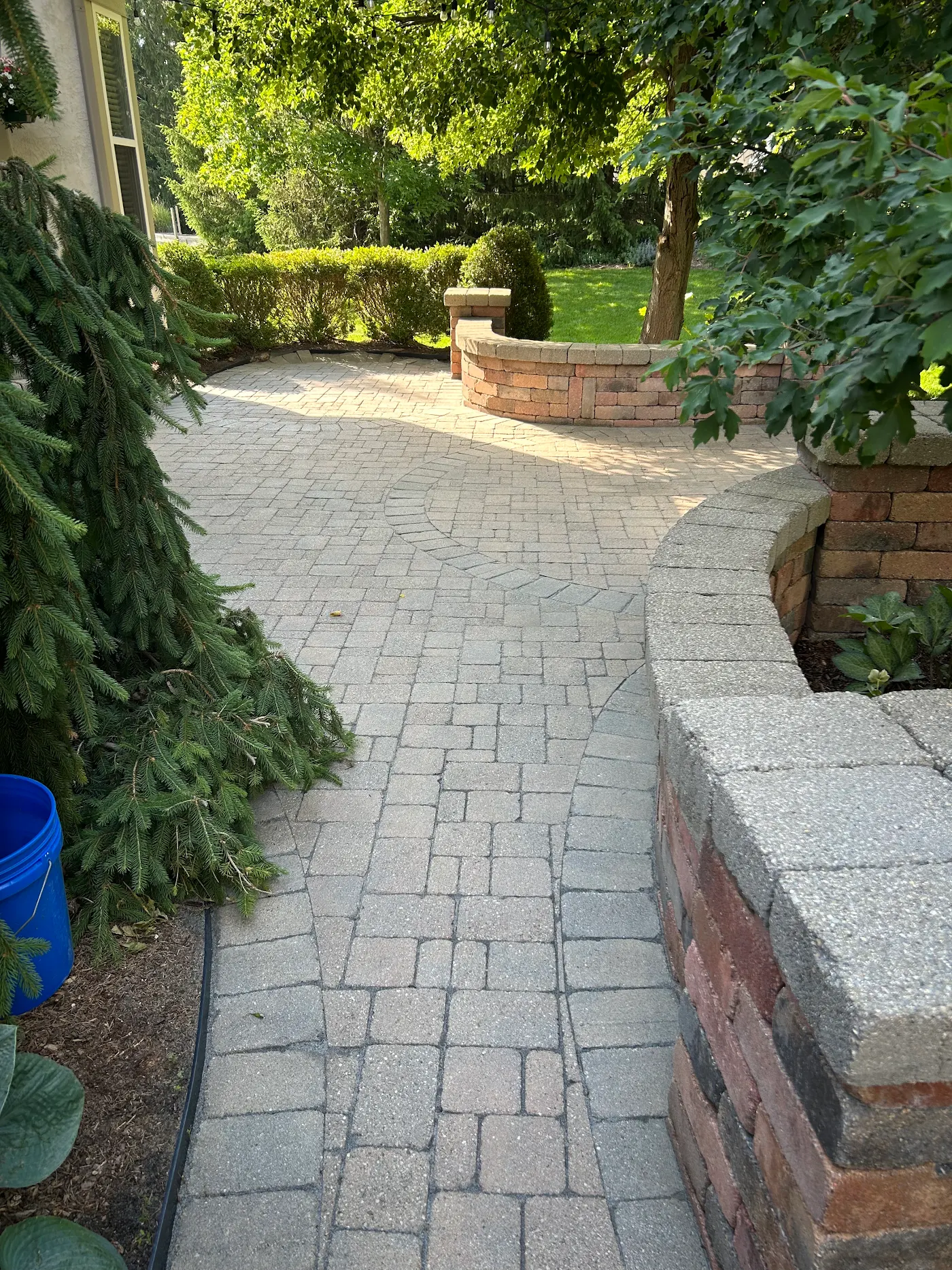 Paver walkway leading to the patio, cleaned